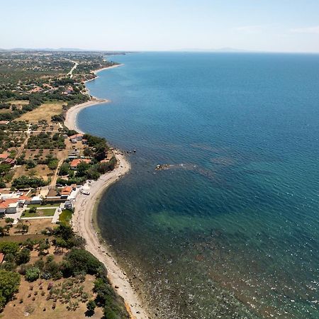 Papi'S Free Parking Villa Александруполіс Екстер'єр фото